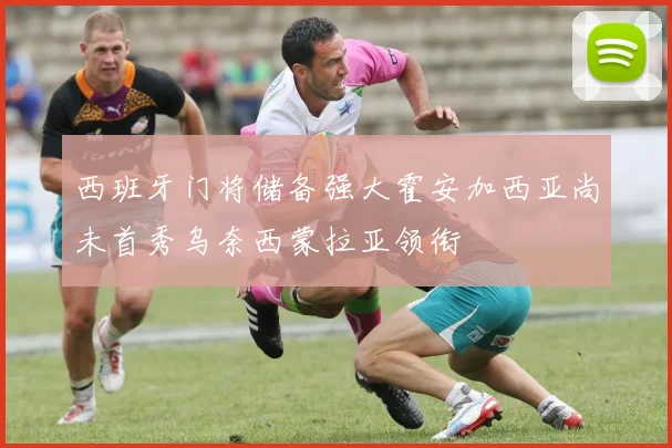 西班牙门将储备强大霍安加西亚尚未首秀乌奈西蒙拉亚领衔