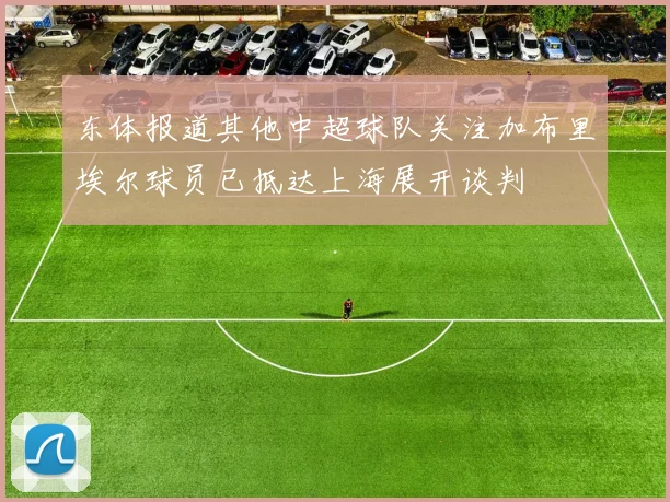 东体报道其他中超球队关注加布里埃尔球员已抵达上海展开谈判